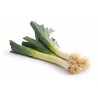 Poireau nouveau AB (500g)