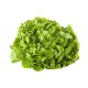 Salade feuille de chêne verte