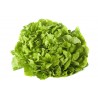 Salade feuille de chêne verte locale AB (pièce)
