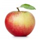 Pomme reine des reinettes biologique