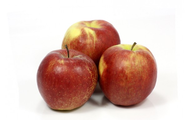 Pomme jonagold biologique