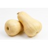 Courge butternut AB (pièce)