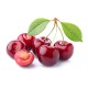 Cerise