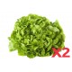 Salade feuille de chêne verte