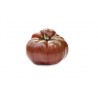 Tomate noire de crimée AB (500g)