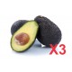 Avocat