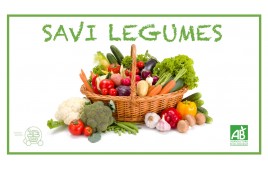 SAVI LEGUMES