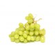 Raisin italia