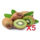 Kiwi vert AB (5 pièces)