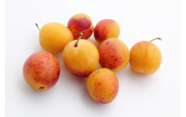 Mirabelle