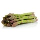 Asperge verte