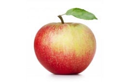 Pomme reine des reinettes biologique