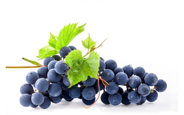 Raisin muscat