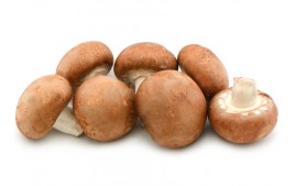 Champignon brun  local AB (500g)