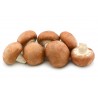 Champignon brun  local AB (500g)
