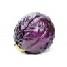 Choux rouge AB (pièce)