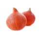 Potimarron