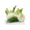 Fenouil AB (500 gr)