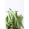 Haricot vert AB (500gr)