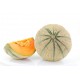 Melon Charentais