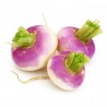 Navet violet AB (500g)